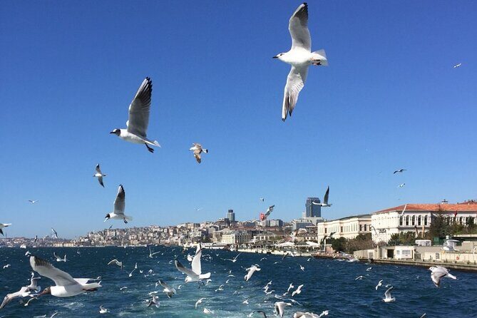 2-Hour Private Luxury Yacht Cruise on Bosphorus with Transfers - Should you book this private Bosphorus yacht cruise?