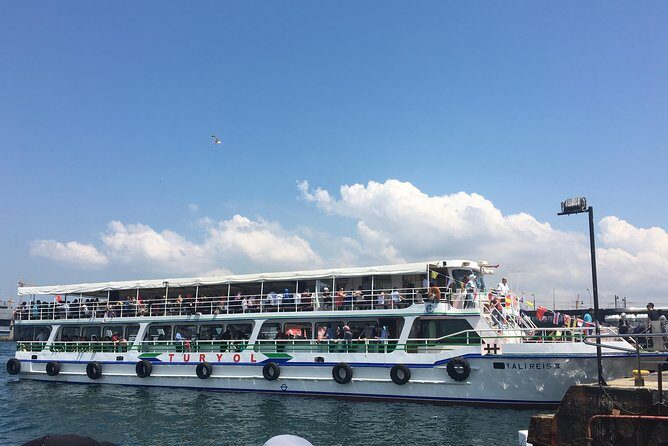 Bosphorus Cruise With Dolmabahçe Palace and Fortresses - Fortresses, towers, and the Bosphorus bridges: what to watch for on each pass