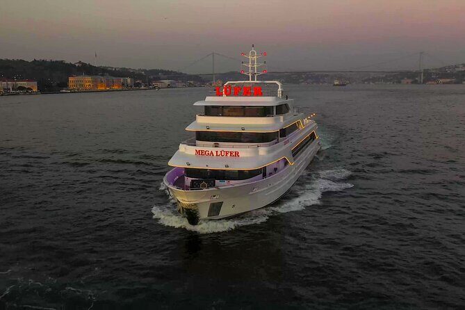Bosphorus Dinner Cruise with Show and Private Table - Turkish Dinner Menu: Appetizers, Grill or Fish, and Vegetarian Options