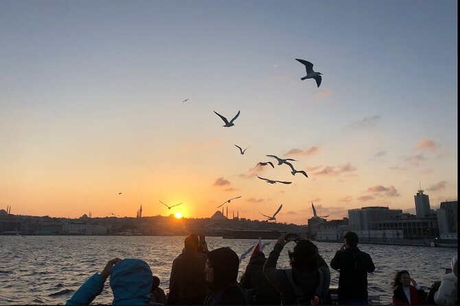 Bosphorus Explorer: 3-Hour Cruise with Asian Side Visit - The Asian-side stop: Beylerbeyi and that one-hour reality check
