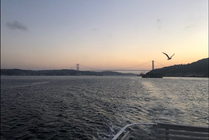 Bosphorus Explorer: 3-Hour Cruise with Asian Side Visit - Maiden’s Tower, Topkapı, Yeni Camii, and Süleymaniye on the return