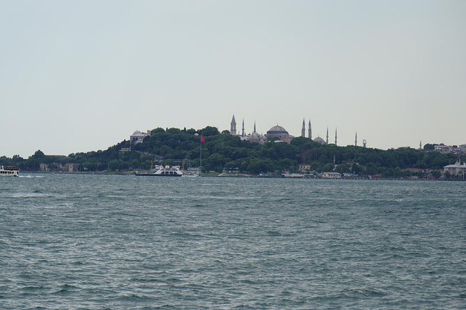 Half Day Morning Bosphorus Cruise & Spice Bazaar visit (Bus and Boat Tour) - The Bosphorus cruise: where the views do the talking