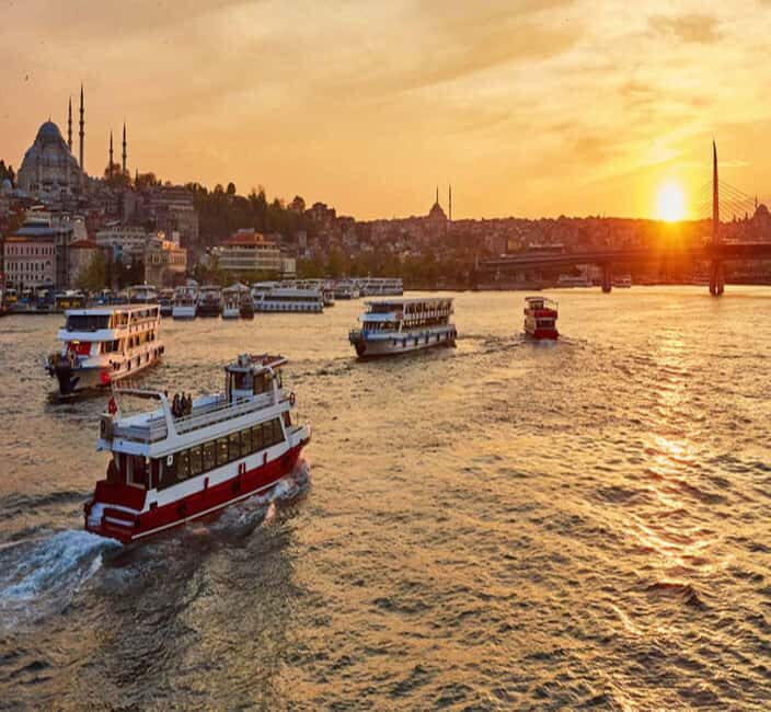 Istanbul Bosphorus Morning Cruise Guided Tour - Audio Guide and Live Narration: The Story Behind the Views