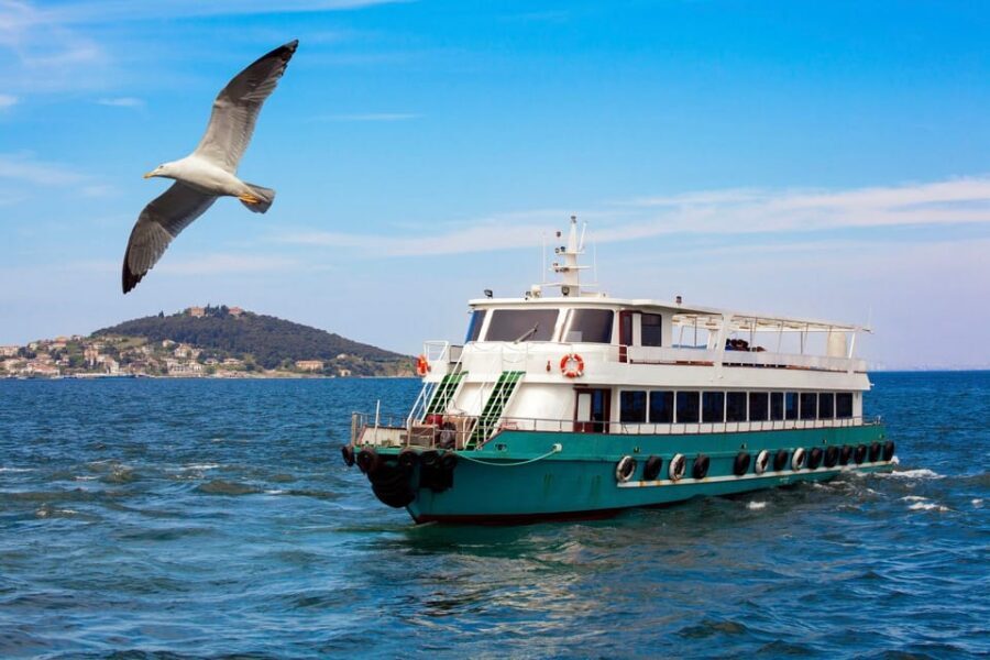 Istanbul: Bosphorus Strait Sightseeing Cruise & Audio Guide - Rumeli Hisarı and Fatih Sultan Mehmet Bridge: fortifications and scale