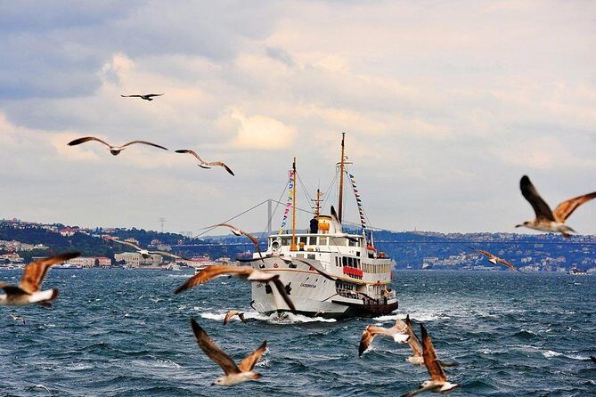 Istanbul Classics and Bosphorus Cruise Private Tour - Bosphorus Strait ferry: why the water view is the real payoff