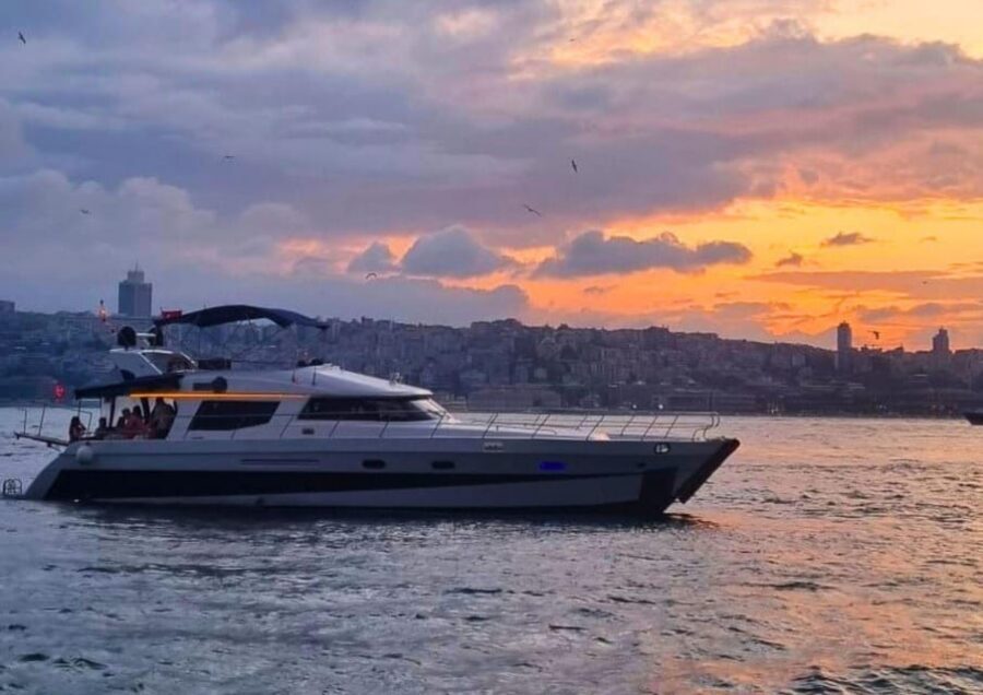 Istanbul: Daytime Bosphorus Yacht Cruise with Fruit & Snacks - The Audio Guide App: How to Make It Useful