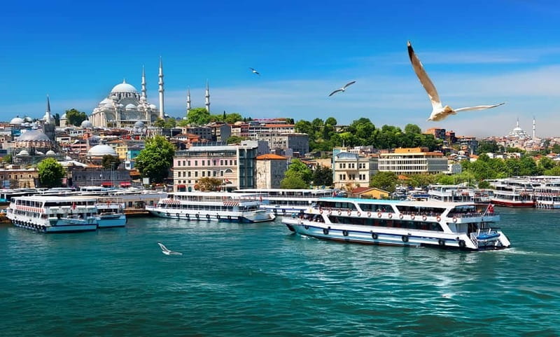 Istanbul: Guided Bosphorus Cruise & Golden Horn Bus Tour - Golden Horn by bus: the city wall, wooden houses, and places of worship