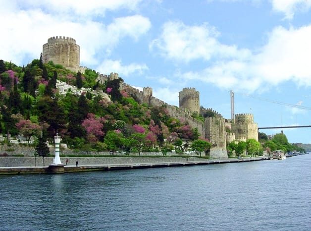 Istanbul Half-Day Tour and Bosphorus Cruise - A half-day that teaches Istanbul’s geography in hours