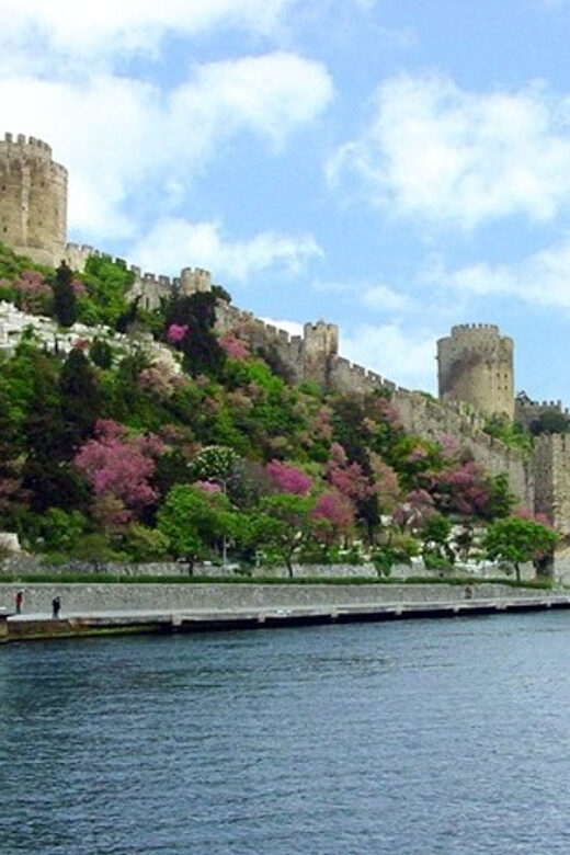 Istanbul Half-Day Tour and Bosphorus Cruise - Egyptian Bazaar transfer: spice scents plus real marketplace history