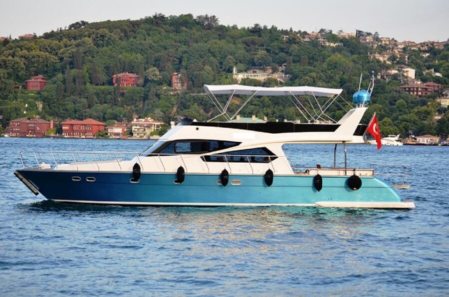 Istanbul: Old Town Tour and Bosphorus Lunch Cruise - How to fit an 8-hour private tour into your Istanbul plan