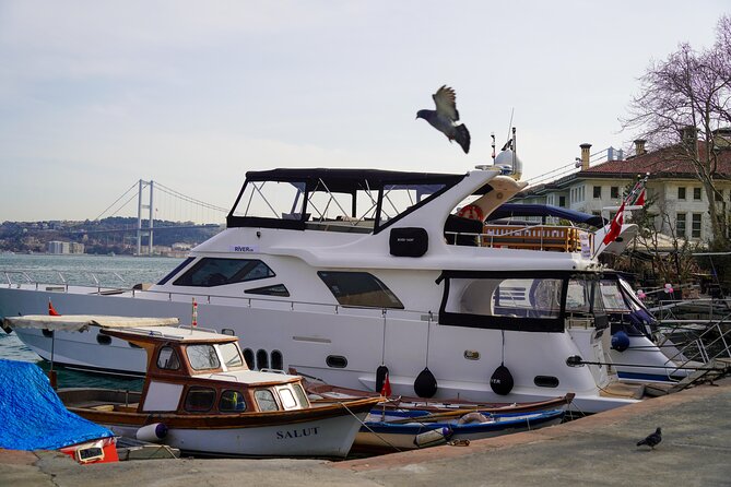 Private Yacht Cruise on Bosphorus - Dolmabahçe Palace from the water: European-style grandeur in plain view